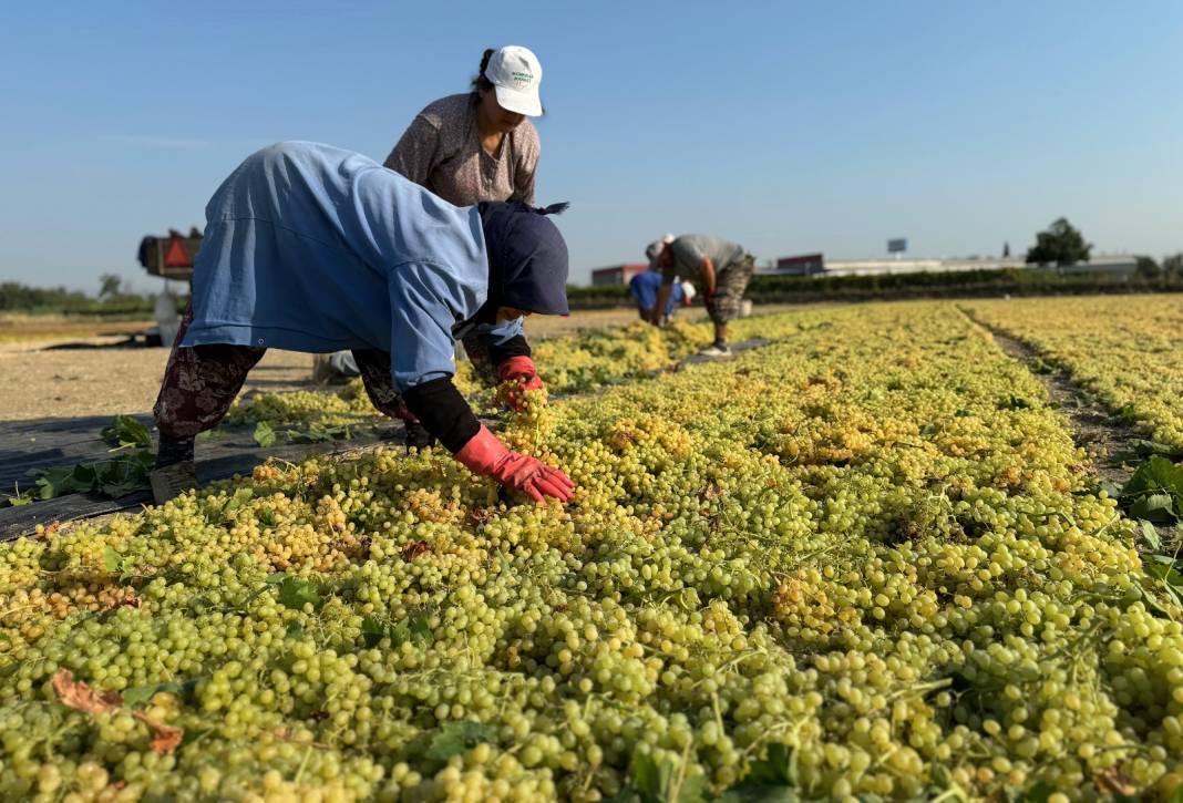 12 aylık emekte son dönemeç: 500 milyon dolar getiriyor 7